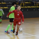 NogCicibaniTurnirPodDrevcemZaCicibaneNabrezina