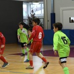 NogCicibaniTurnirPodDrevcemZaCicibaneNabrezina