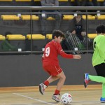 NogCicibaniTurnirPodDrevcemZaCicibaneNabrezina