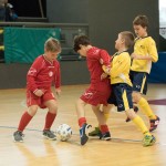 NogCicibaniTurnirPodDrevcemZaCicibaneNabrezina