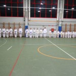 009-karShinkai_Bozicnica2016