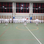 010-karShinkai_Bozicnica2016