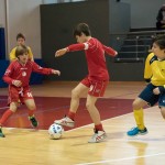 NogCicibaniTurnirPodDrevcemZaCicibaneNabrezina