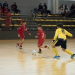 NogCicibaniTurnirPodDrevcemZaCicibaneNabrezina