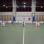 013-karShinkai_Bozicnica2016