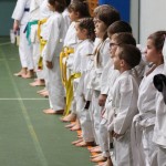 015-karShinkai_Bozicnica2016