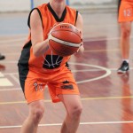 Polet - Sistema Rosa Pordenone