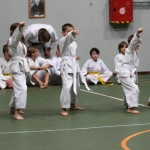 053-karShinkai_Bozicnica2016