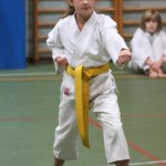 065-karShinkai_Bozicnica2016