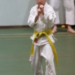 066-karShinkai_Bozicnica2016