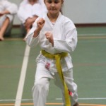 067-karShinkai_Bozicnica2016