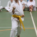 068-karShinkai_Bozicnica2016