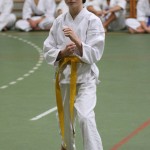 070-karShinkai_Bozicnica2016