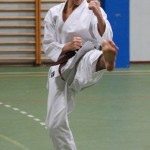 075-karShinkai_Bozicnica2016