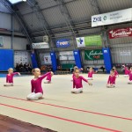 SZ Bor - Ritmicna Gimnastika - Božična akademija