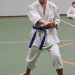 077-karShinkai_Bozicnica2016