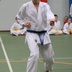 079-karShinkai_Bozicnica2016