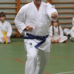 081-karShinkai_Bozicnica2016
