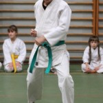 082-karShinkai_Bozicnica2016