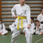 083-karShinkai_Bozicnica2016