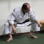 086-karShinkai_Bozicnica2016