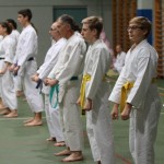087-karShinkai_Bozicnica2016