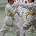 090-karShinkai_Bozicnica2016