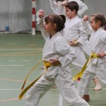 092-karShinkai_Bozicnica2016