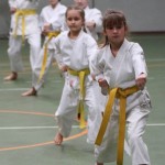 093-karShinkai_Bozicnica2016