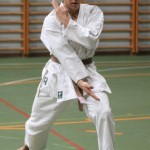 094-karShinkai_Bozicnica2016