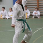 095-karShinkai_Bozicnica2016