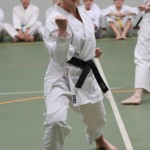 099-karShinkai_Bozicnica2016