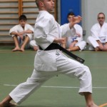 100-karShinkai_Bozicnica2016