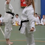 101-karShinkai_Bozicnica2016