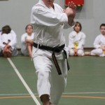 106-karShinkai_Bozicnica2016