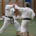 110-karShinkai_Bozicnica2016