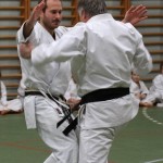 111-karShinkai_Bozicnica2016