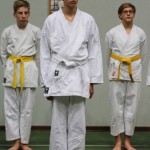 120-karShinkai_Bozicnica2016