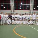 136-karShinkai_Bozicnica2016