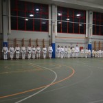 Shinkai klub - Božičnica 2016