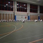 Shinkai klub - Božičnica 2016