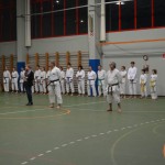 Shinkai klub - Božičnica 2016