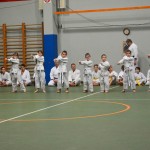 Shinkai klub - Božičnica 2016