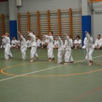 Shinkai klub - Božičnica 2016