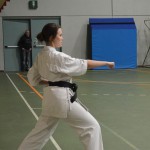 Shinkai klub - Božičnica 2016