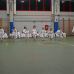 Shinkai klub - Božičnica 2016