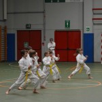 Shinkai klub - Božičnica 2016