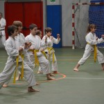 Shinkai klub - Božičnica 2016