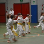 Shinkai klub - Božičnica 2016