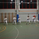 Shinkai klub - Božičnica 2016